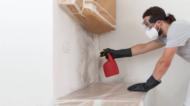 Professional Mold Inspection And Testing technician working in Wallingford, PA